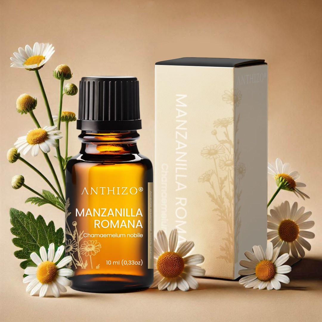 Aceite Esencial Manzanilla Romana (Chamaemelum nobile), 100% Puro, Piel Sensible, Cólicos y Sedante Nervioso, ANTHIZO 10ml