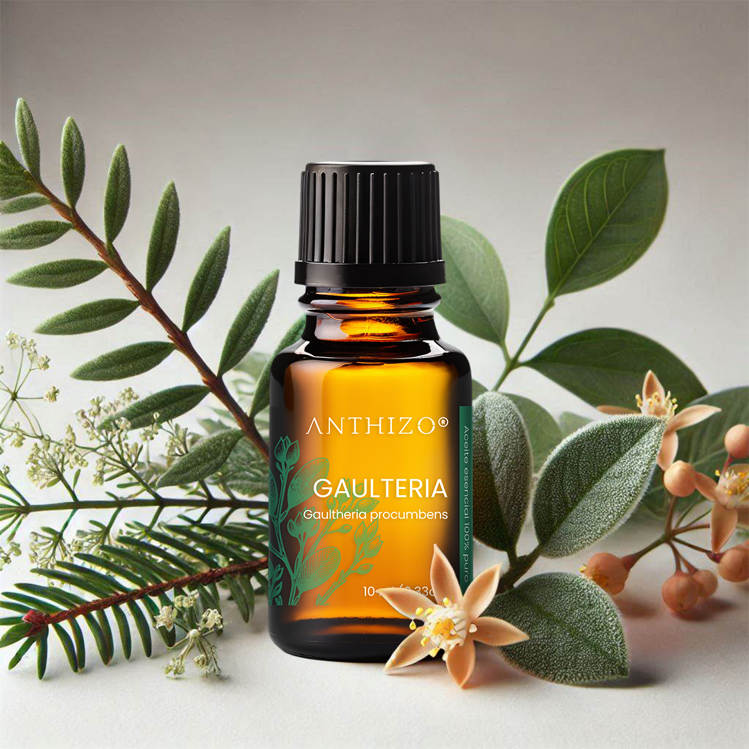 Aceite Esencial Gaulteria (Wintergreen) (Gaultheria procumbens), 100% Puro, Analgésico y Dolor Muscular, ANTHIZO 10ml
