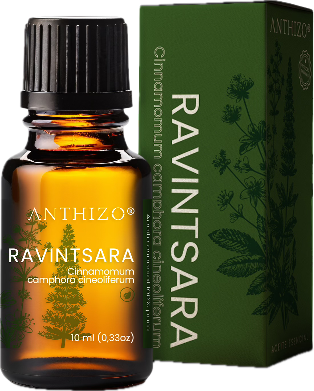 Aceite Esencial Ravintsara (Cinnamomum camphora), ORGÁNICO, Refuerzo Inmunológico, Antiviral y Descongestión, ANTHIZO 10ml