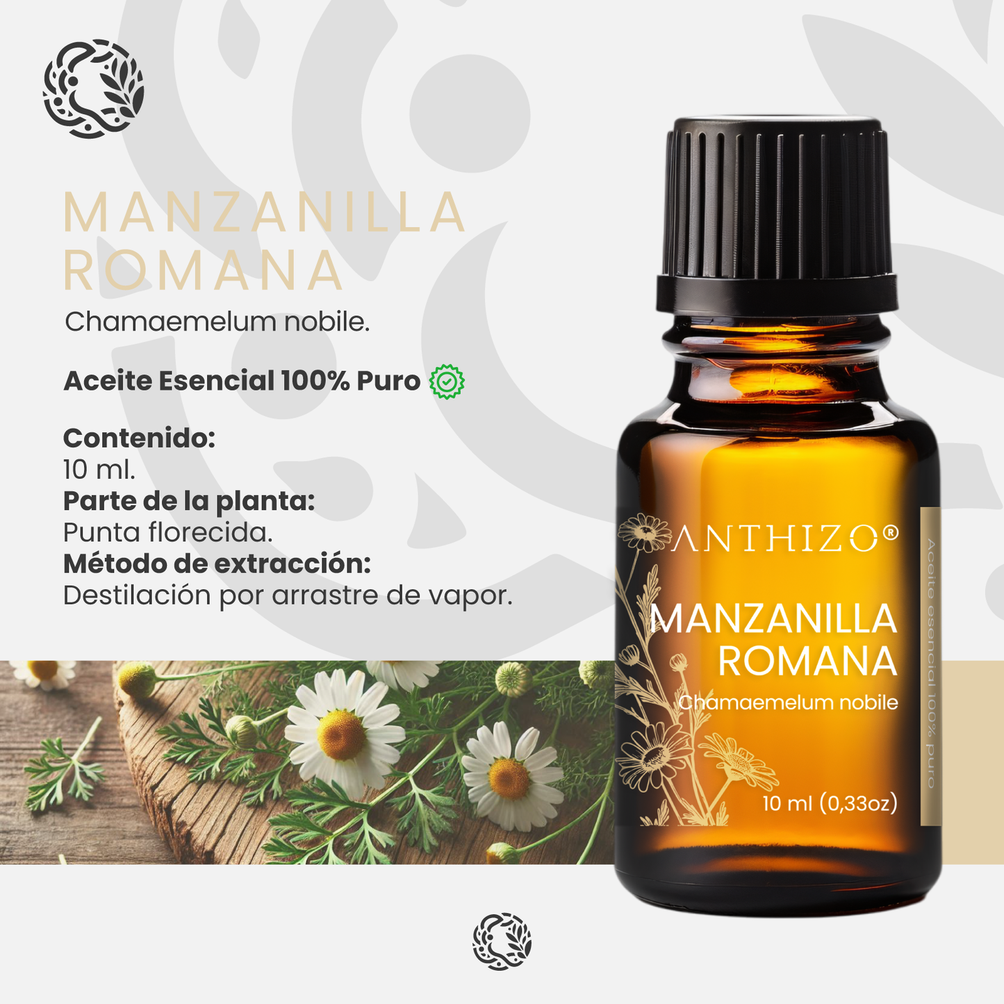 Aceite Esencial Manzanilla Romana (Chamaemelum nobile), 100% Puro, Piel Sensible, Cólicos y Sedante Nervioso, ANTHIZO 10ml