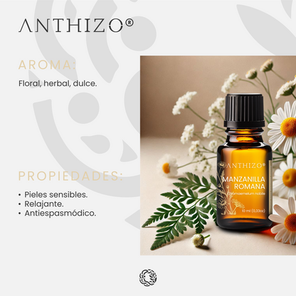 Aceite Esencial Manzanilla Romana (Chamaemelum nobile), 100% Puro, Piel Sensible, Cólicos y Sedante Nervioso, ANTHIZO 10ml