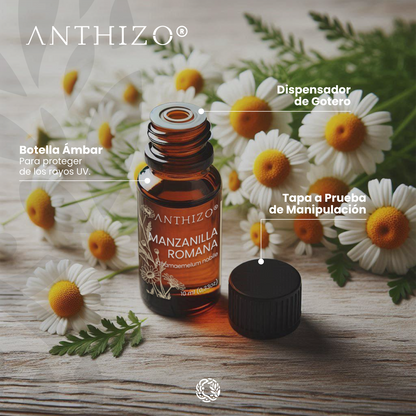 Aceite Esencial Manzanilla Romana (Chamaemelum nobile), 100% Puro, Piel Sensible, Cólicos y Sedante Nervioso, ANTHIZO 10ml