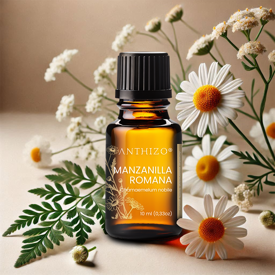 Aceite Esencial Manzanilla Romana (Chamaemelum nobile), 100% Puro, Piel Sensible, Cólicos y Sedante Nervioso, ANTHIZO 10ml