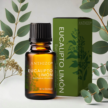 Planta Eucalipto origen botánico – Aceite esencial Eucalipto Limón