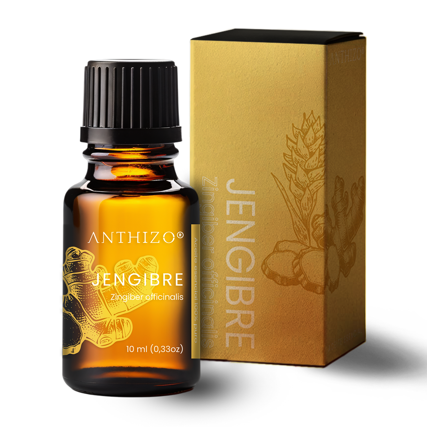 Aceite Esencial Jengibre (Zingiber officinalis), 100% Puro, Náuseas y Antiemético, ANTHIZO 10ml