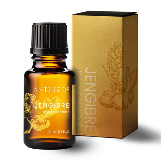 Aceite Esencial Jengibre (Zingiber officinalis), 100% Puro, Náuseas y Antiemético, ANTHIZO 10ml