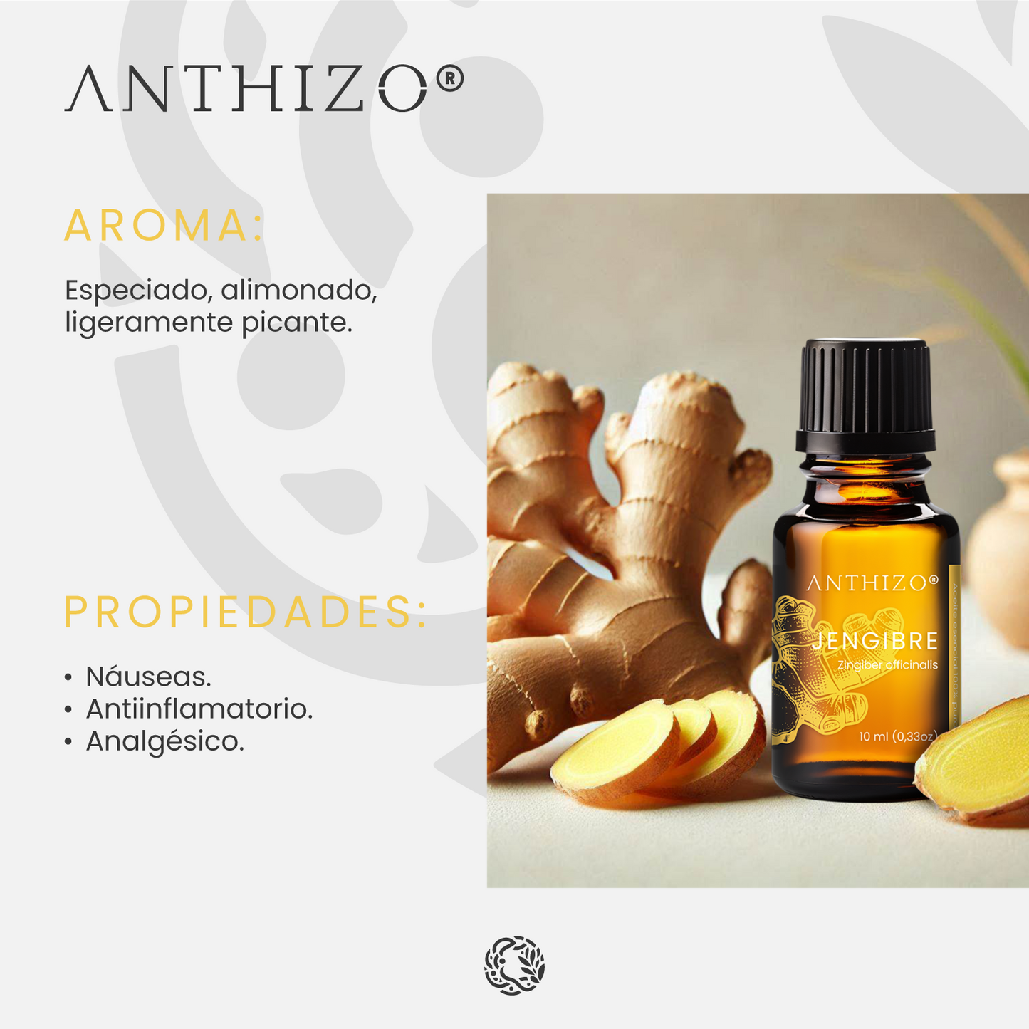 Aceite Esencial Jengibre (Zingiber officinalis), 100% Puro, Náuseas y Antiemético, ANTHIZO 10ml
