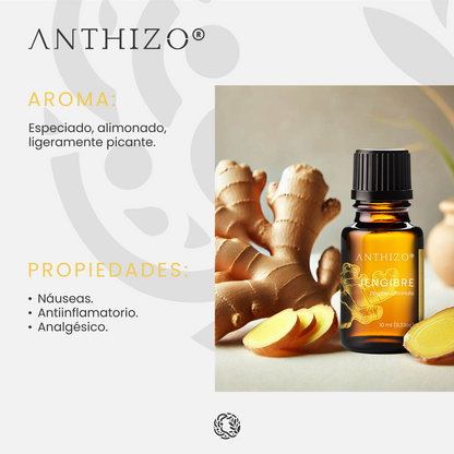 Aceite Esencial Jengibre (Zingiber officinalis), 100% Puro, Náuseas y Antiemético, ANTHIZO 10ml