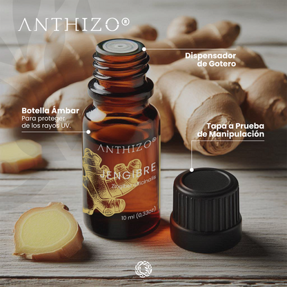 Aceite Esencial Jengibre (Zingiber officinalis), 100% Puro, Náuseas y Antiemético, ANTHIZO 10ml
