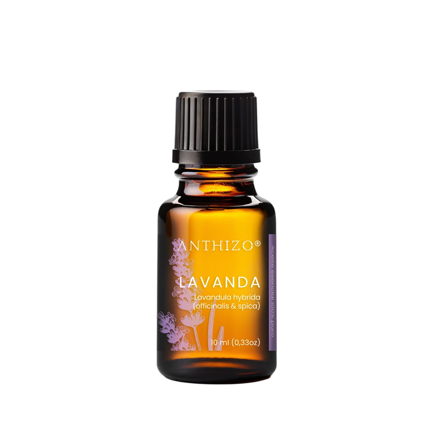 Aceite Esencial Lavanda (Lavandula hybrida), 100% Puro, Sueño, Ansiedad y Quemaduras, ANTHIZO 10ml