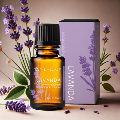 Aceite Esencial Lavanda (Lavandula hybrida), 100% Puro, Sueño, Ansiedad y Quemaduras, ANTHIZO 10ml
