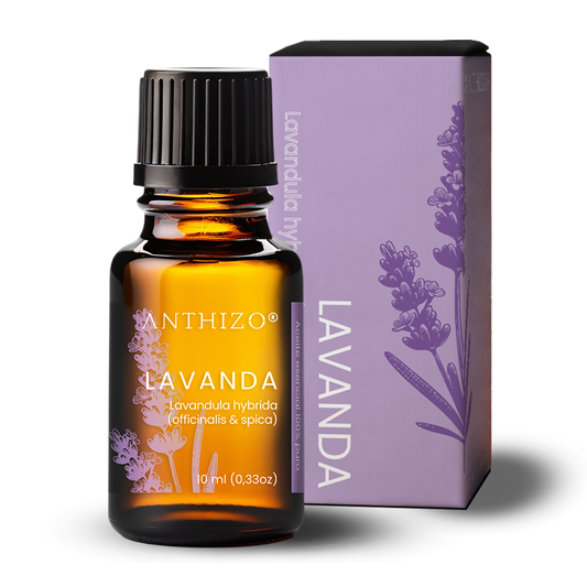 Aceite Esencial Lavanda (Lavandula hybrida), 100% Puro, Sueño, Ansiedad y Quemaduras, ANTHIZO 10ml