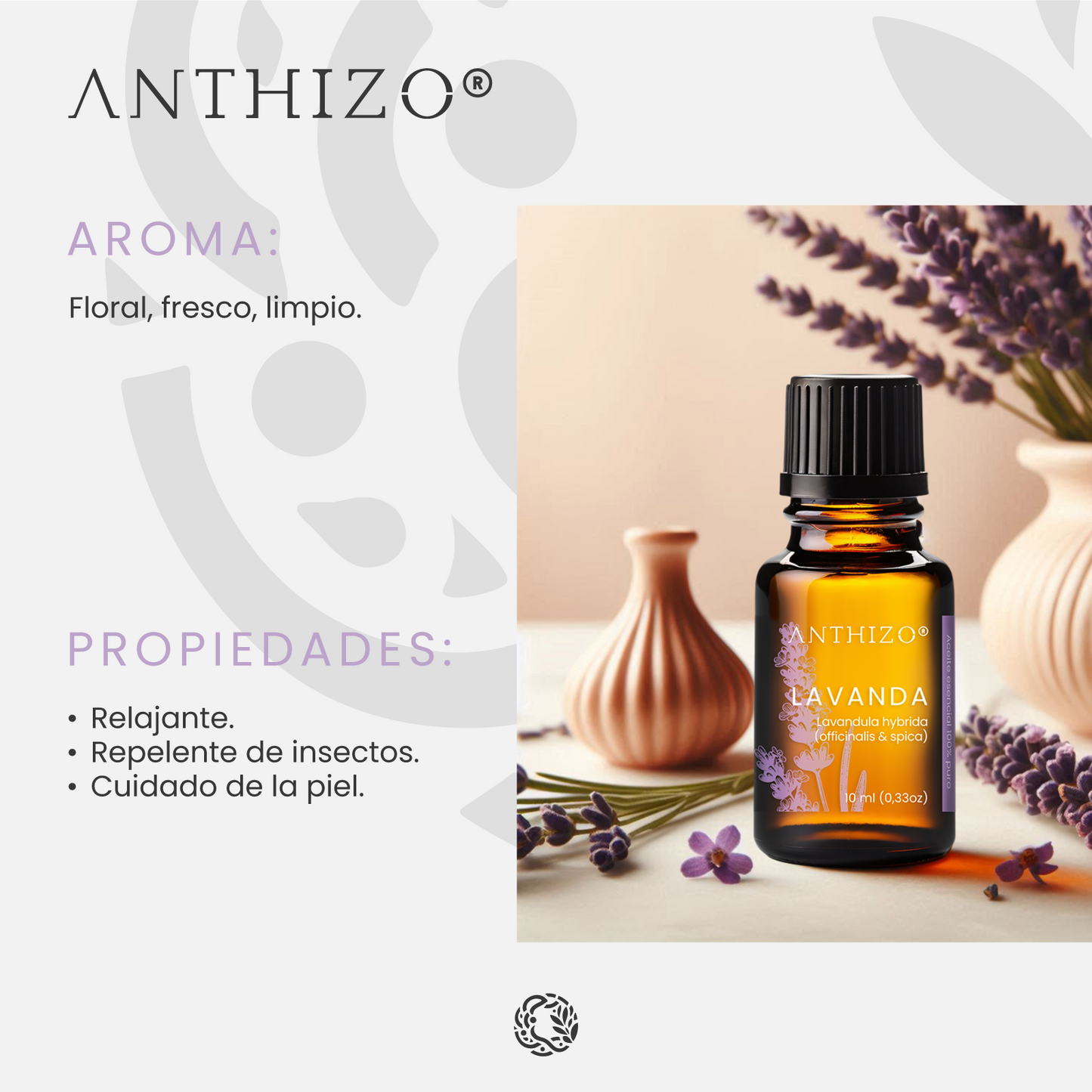 Aceite Esencial Lavanda (Lavandula hybrida), 100% Puro, Sueño, Ansiedad y Quemaduras, ANTHIZO 10ml
