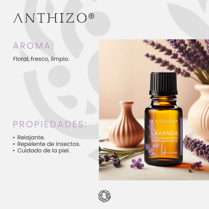 Aceite Esencial Lavanda (Lavandula hybrida), 100% Puro, Sueño, Ansiedad y Quemaduras, ANTHIZO 10ml