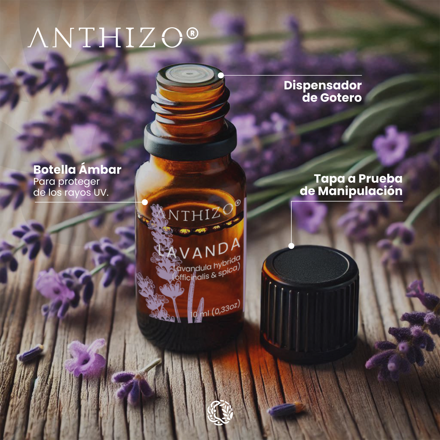 Aceite Esencial Lavanda (Lavandula hybrida), 100% Puro, Sueño, Ansiedad y Quemaduras, ANTHIZO 10ml