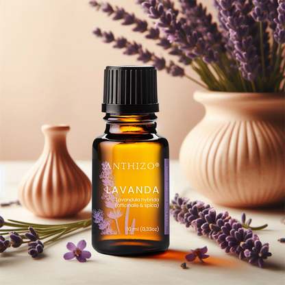 Aceite Esencial Lavanda (Lavandula hybrida), 100% Puro, Sueño, Ansiedad y Quemaduras, ANTHIZO 10ml