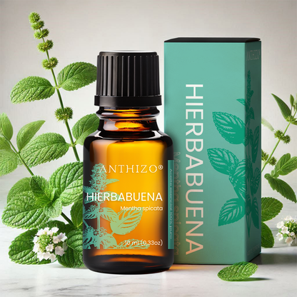 Aceite Esencial Hierbabuena (Mentha spicata), 100% Puro,  Relajante Muscular, ANTHIZO 10ml