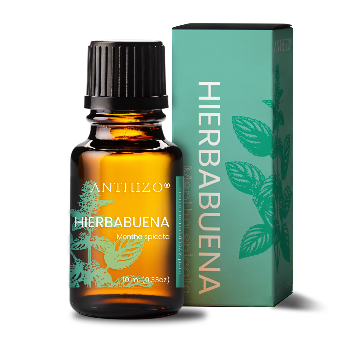 Aceite Esencial Hierbabuena (Mentha spicata), 100% Puro,  Relajante Muscular, ANTHIZO 10ml