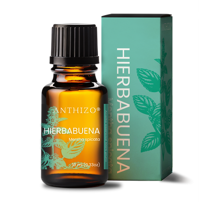 Aceite Esencial Hierbabuena (Mentha spicata), 100% Puro,  Relajante Muscular, ANTHIZO 10ml