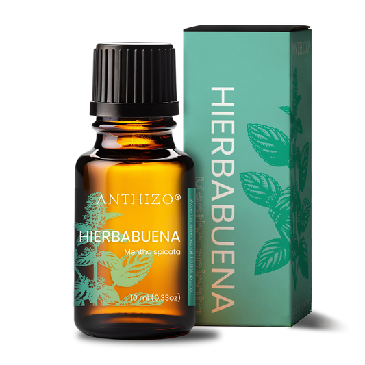 Aceite Esencial Hierbabuena (Mentha spicata), 100% Puro,  Relajante Muscular, ANTHIZO 10ml