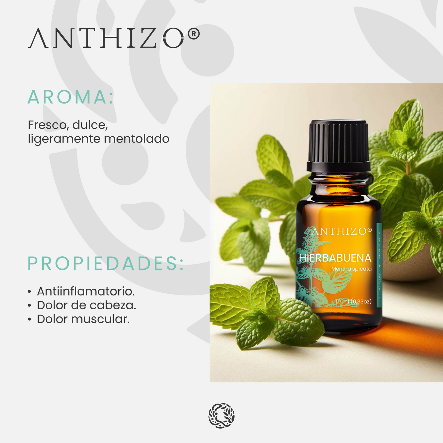 Aceite Esencial Hierbabuena (Mentha spicata), 100% Puro,  Relajante Muscular, ANTHIZO 10ml