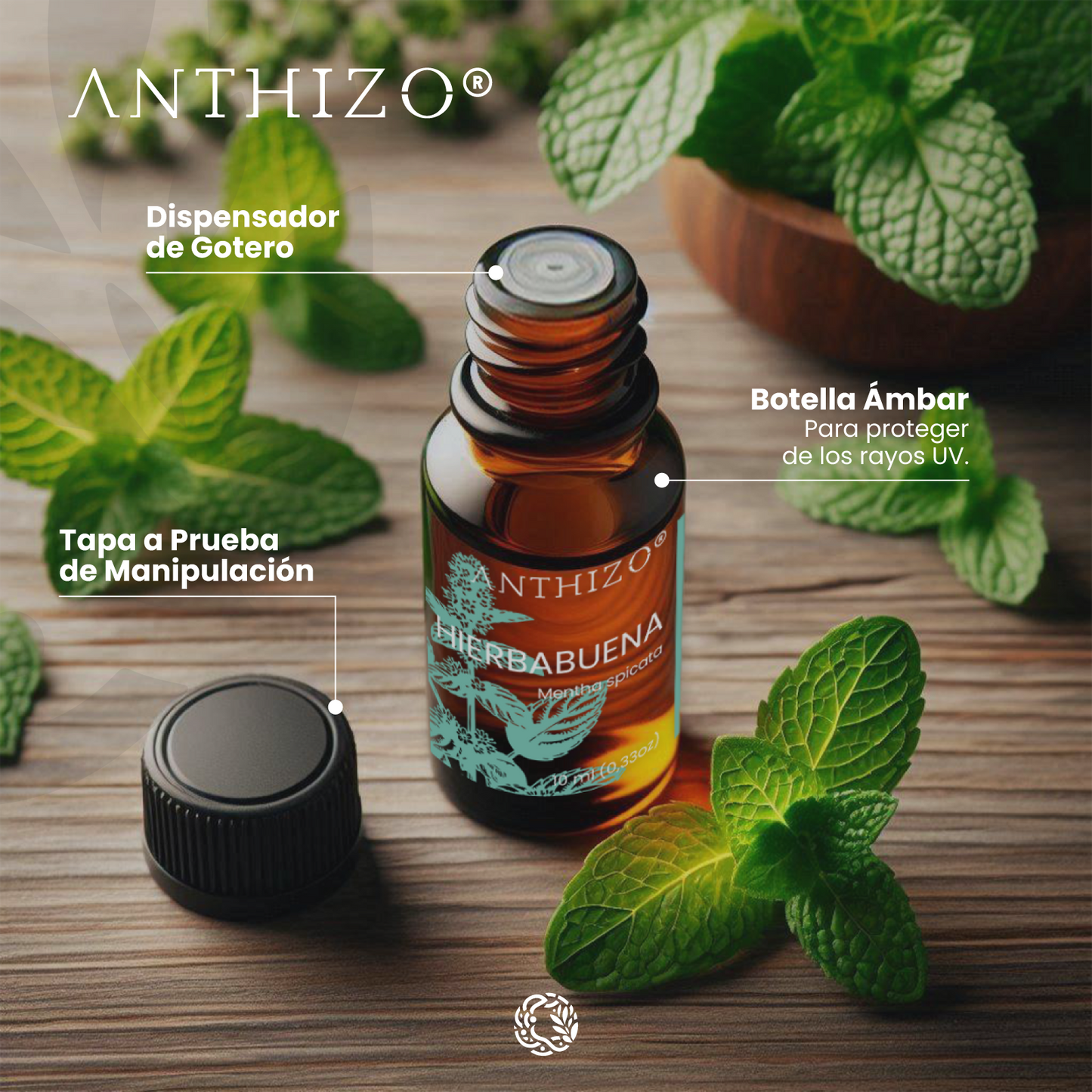 Aceite Esencial Hierbabuena (Mentha spicata), 100% Puro,  Relajante Muscular, ANTHIZO 10ml
