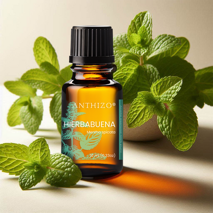 Aceite Esencial Hierbabuena (Mentha spicata), 100% Puro,  Relajante Muscular, ANTHIZO 10ml