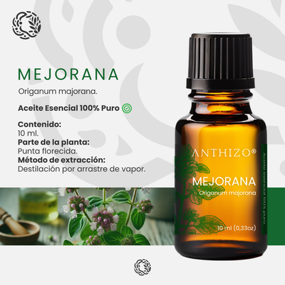 Aceite Esencial Mejorana (Origanum majorana), 100% Puro, Insomnio, Sedante y Dolores Reumáticos, ANTHIZO 10ml