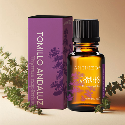Aceite Esencial Orégano España / Tomillo Andaluz (Thymus capitatus), 100% Puro, Antimicrobiano ANTHIZO 10ml