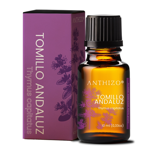 Aceite Esencial Orégano España / Tomillo Andaluz (Thymus capitatus), 100% Puro, Antimicrobiano ANTHIZO 10ml