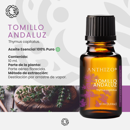 Aceite Esencial Orégano España / Tomillo Andaluz (Thymus capitatus), 100% Puro, Antimicrobiano ANTHIZO 10ml