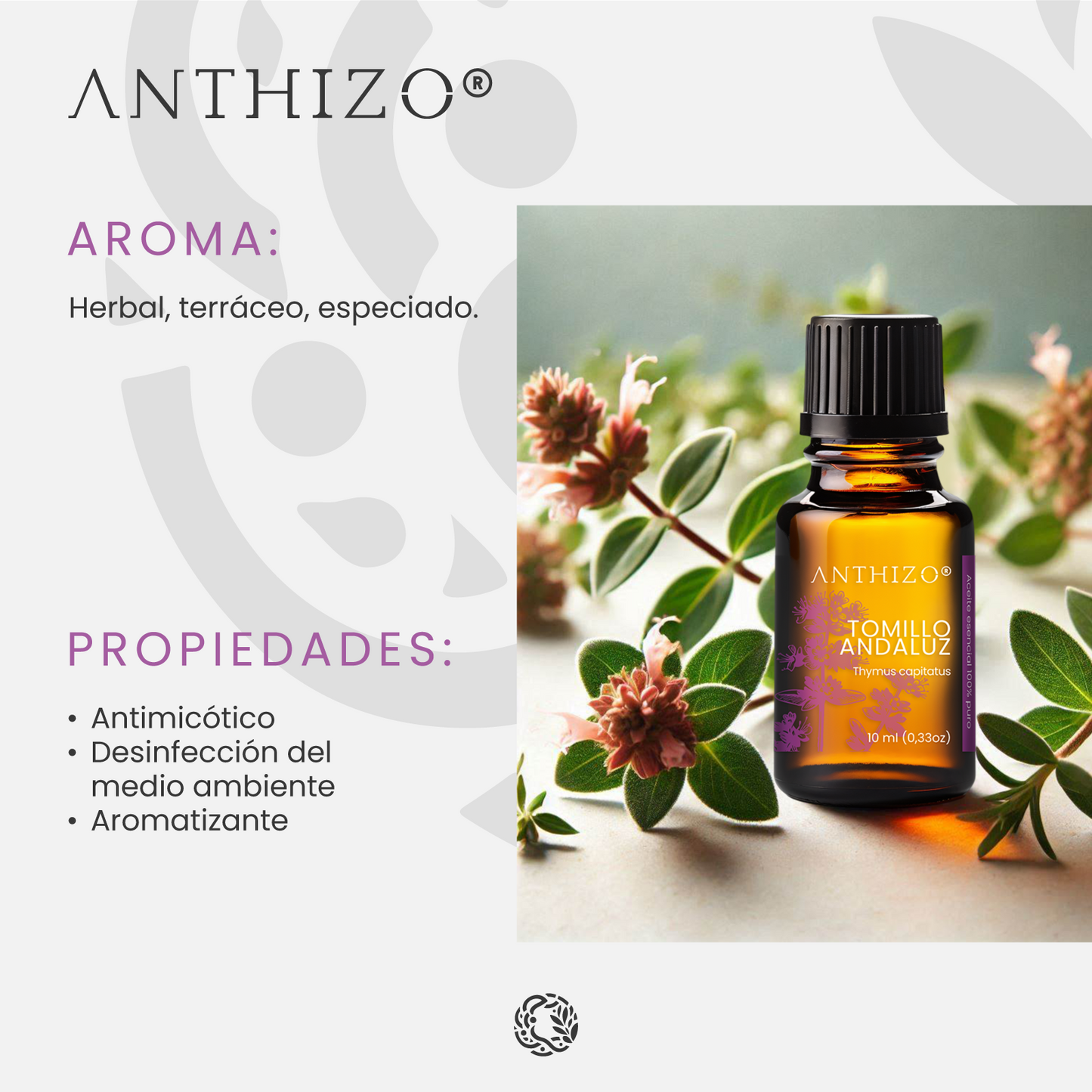 Aceite Esencial Orégano España / Tomillo Andaluz (Thymus capitatus), 100% Puro, Antimicrobiano ANTHIZO 10ml