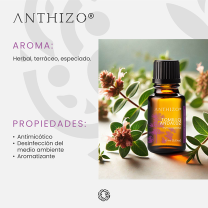 Aceite Esencial Orégano España / Tomillo Andaluz (Thymus capitatus), 100% Puro, Antimicrobiano ANTHIZO 10ml