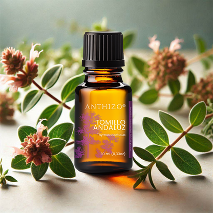 Aceite Esencial Orégano España / Tomillo Andaluz (Thymus capitatus), 100% Puro, Antimicrobiano ANTHIZO 10ml