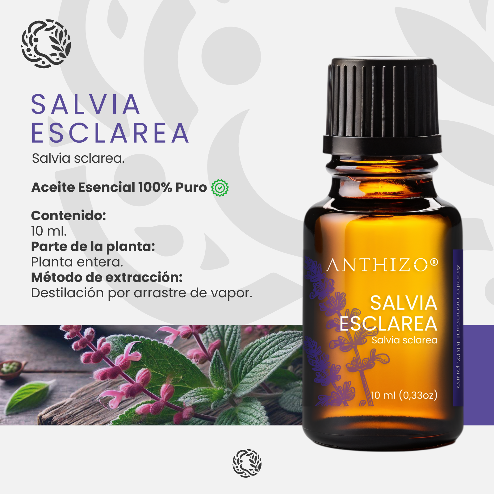 Aceite esencial Salvia Esclarea beneficios y propiedades – Anthizo México