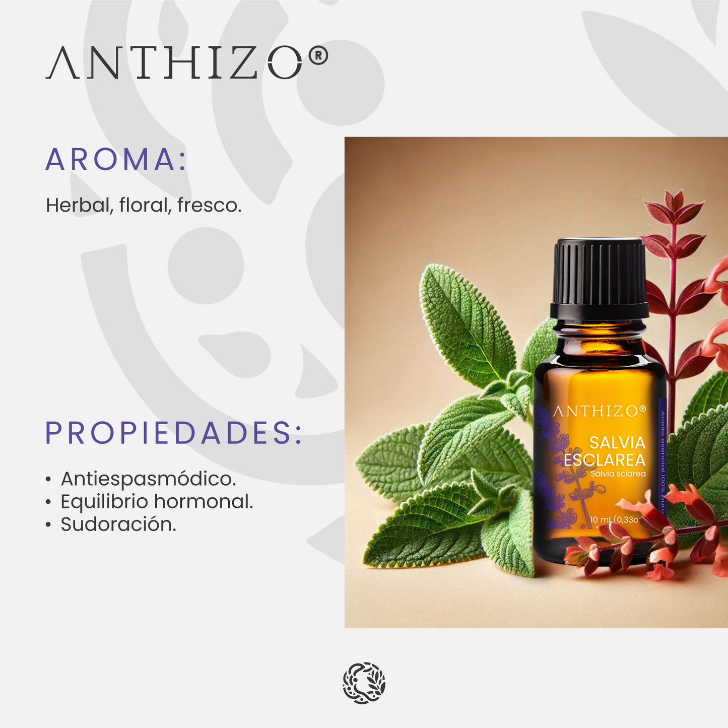 Aceite esencial Salvia Esclarea aromaterapia y masaje – Anthizo México