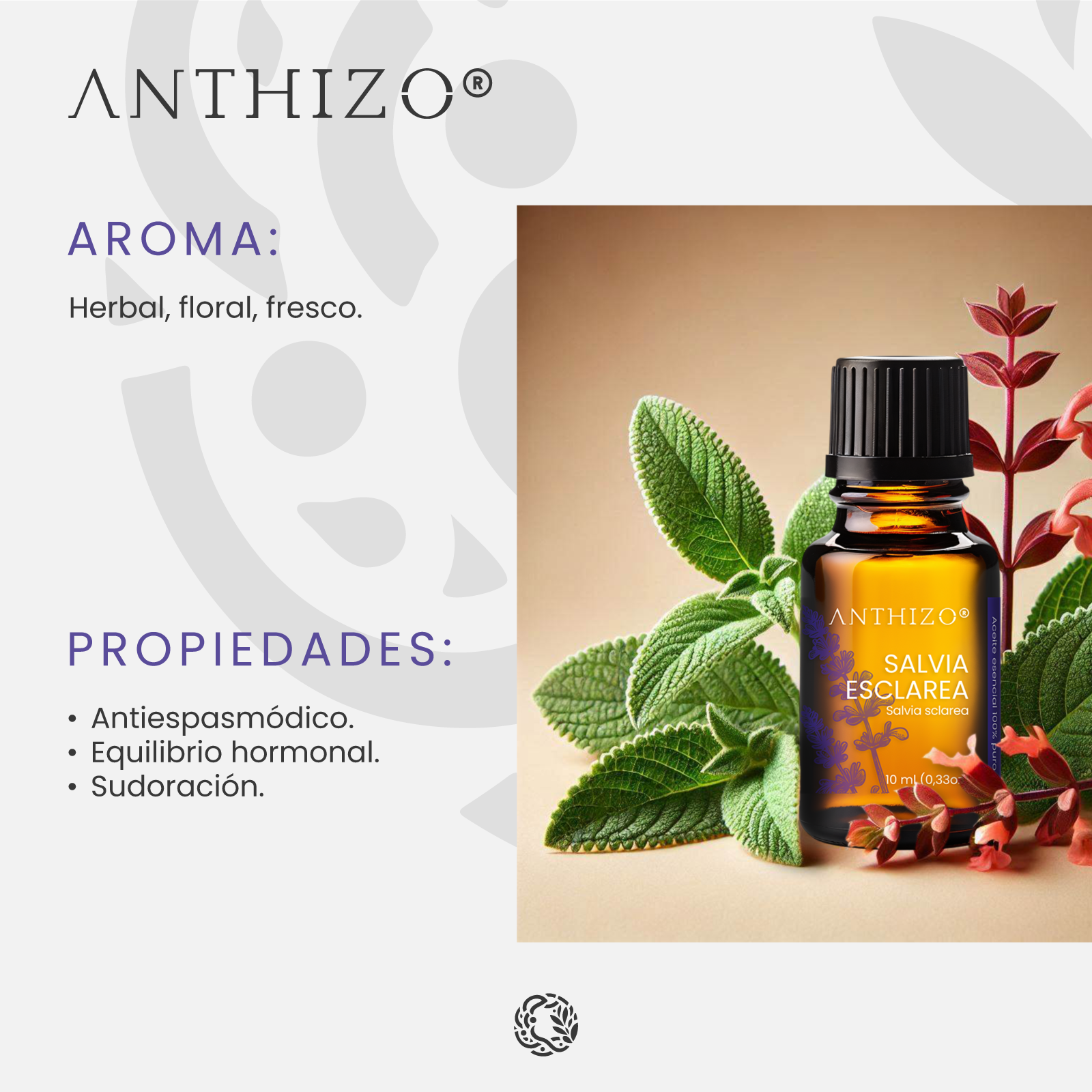 Aceite esencial Salvia Esclarea aromaterapia y masaje – Anthizo México