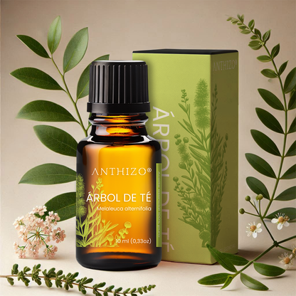 Aceite Esencial Árbol de Té (Melaleuca alternifolia), 100% Puro, Antimicótico, Antiséptico y Acné, ANTHIZO 10ml