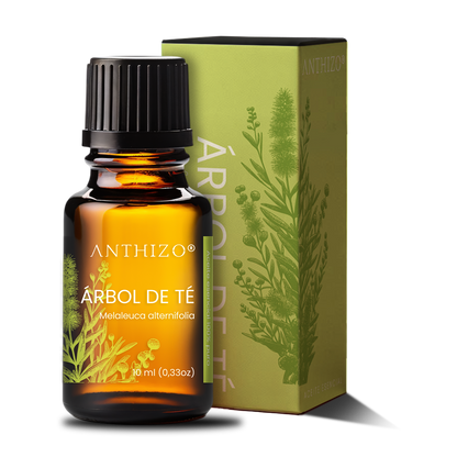 Aceite Esencial Árbol de Té (Melaleuca alternifolia), 100% Puro, Antimicótico, Antiséptico y Acné, ANTHIZO 10ml
