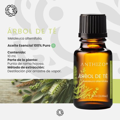 Aceite Esencial Árbol de Té (Melaleuca alternifolia), 100% Puro, Antimicótico, Antiséptico y Acné, ANTHIZO 10ml