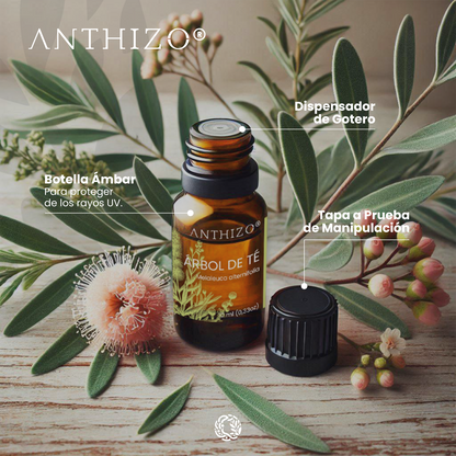 Aceite Esencial Árbol de Té (Melaleuca alternifolia), 100% Puro, Antimicótico, Antiséptico y Acné, ANTHIZO 10ml