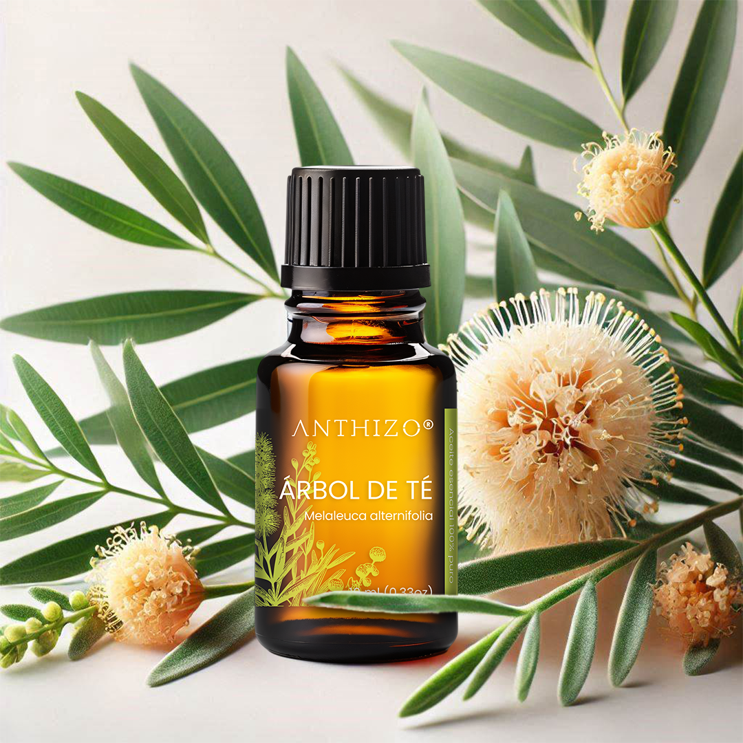 Aceite Esencial Árbol de Té (Melaleuca alternifolia), 100% Puro, Antimicótico, Antiséptico y Acné, ANTHIZO 10ml