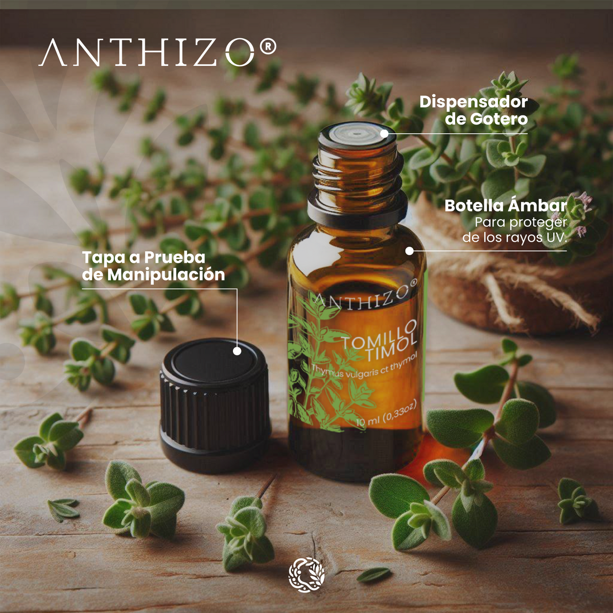 Aceite esencial de Tomillo Timol Anthizo