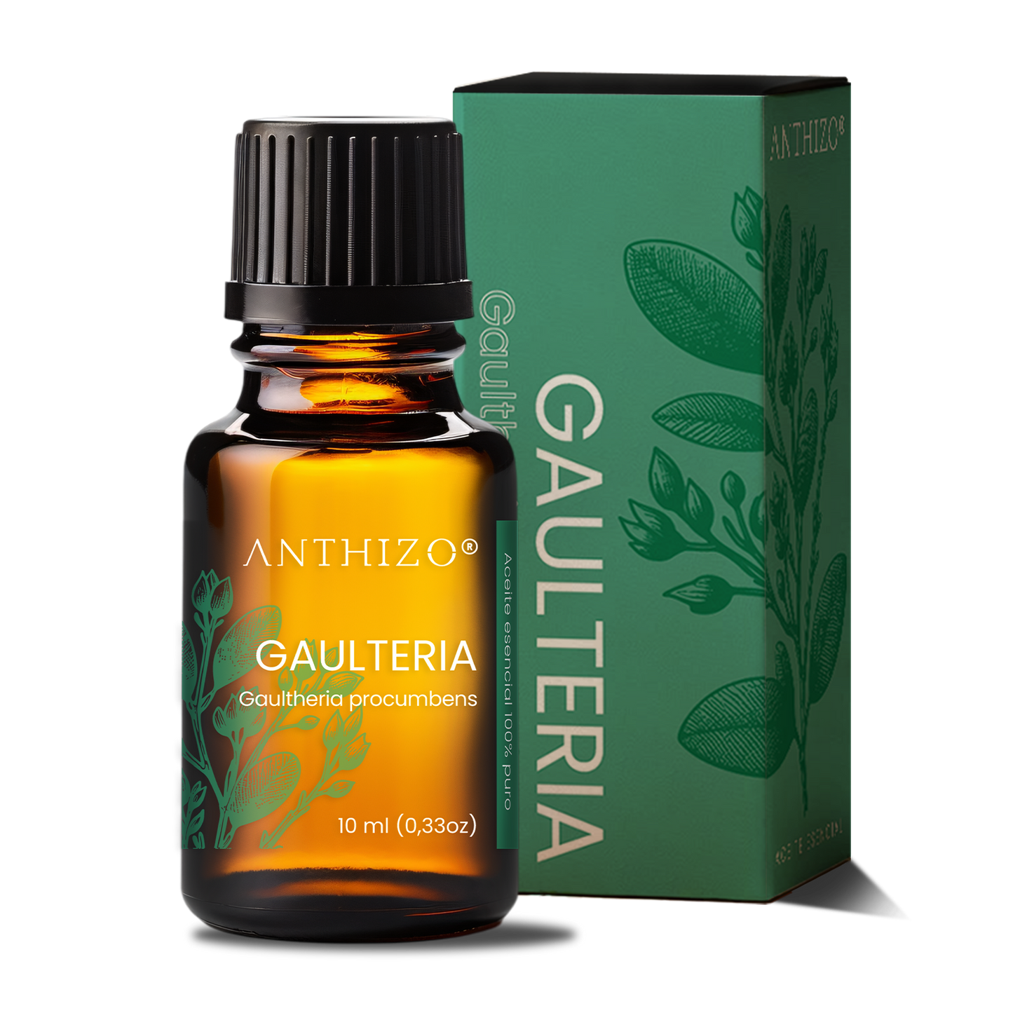 Aceite Esencial Gaulteria (Wintergreen) (Gaultheria procumbens), 100% Puro, Analgésico y Dolor Muscular, ANTHIZO 10ml