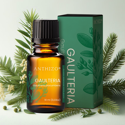Aceite Esencial Gaulteria (Wintergreen) (Gaultheria procumbens), 100% Puro, Analgésico y Dolor Muscular, ANTHIZO 10ml