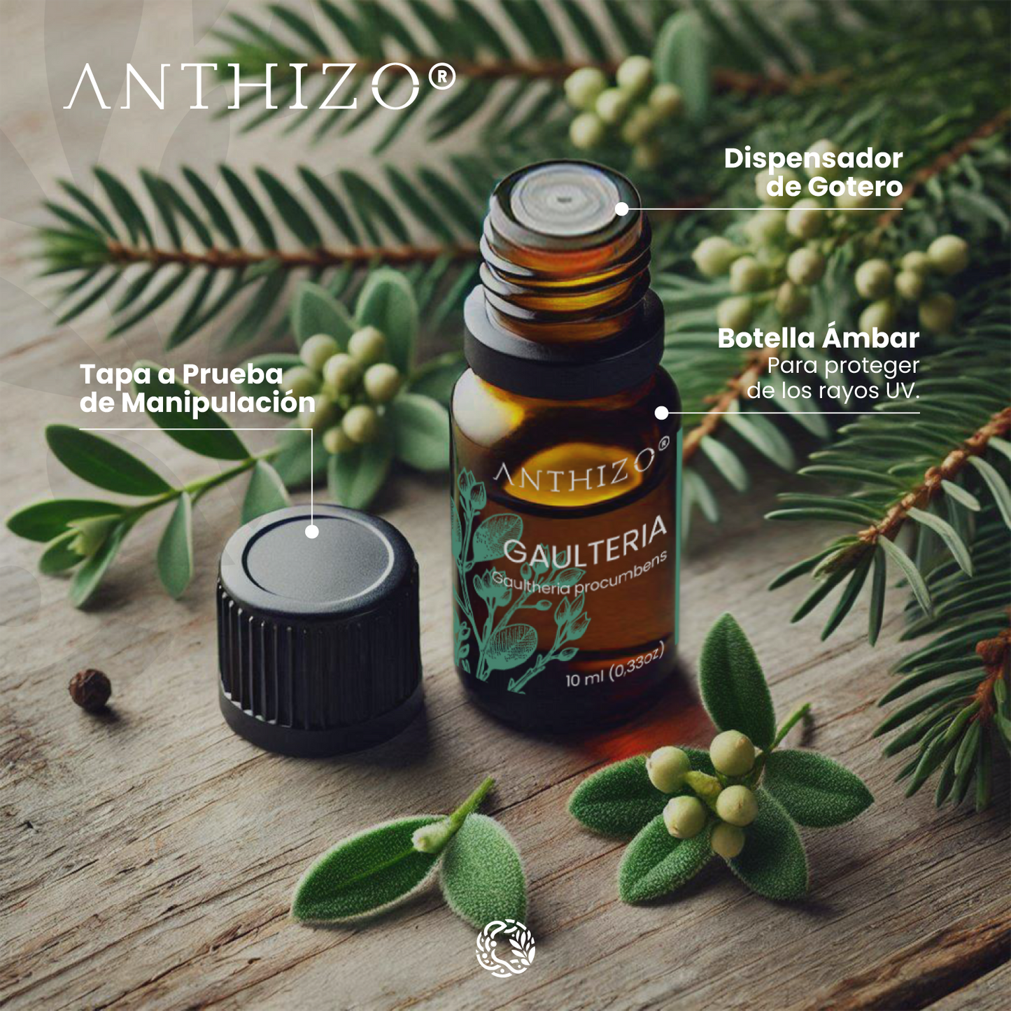 Aceite Esencial Gaulteria (Wintergreen) (Gaultheria procumbens), 100% Puro, Analgésico y Dolor Muscular, ANTHIZO 10ml