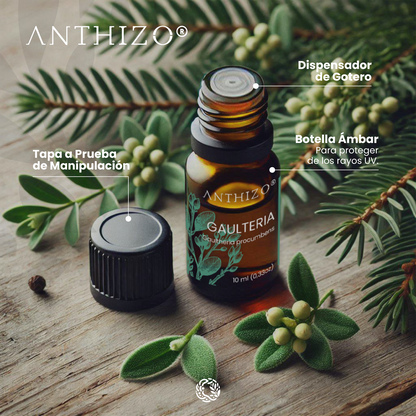 Aceite Esencial Gaulteria (Wintergreen) (Gaultheria procumbens), 100% Puro, Analgésico y Dolor Muscular, ANTHIZO 10ml