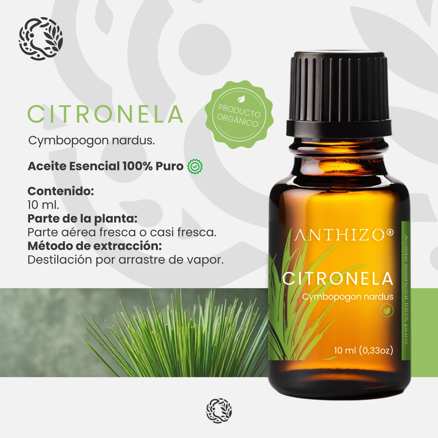 Aceite Esencial Citronela (Cymbopogon nardus), ORGÁNICO, Repelente de Mosquitos y Aromatizante, ANTHIZO 10ml