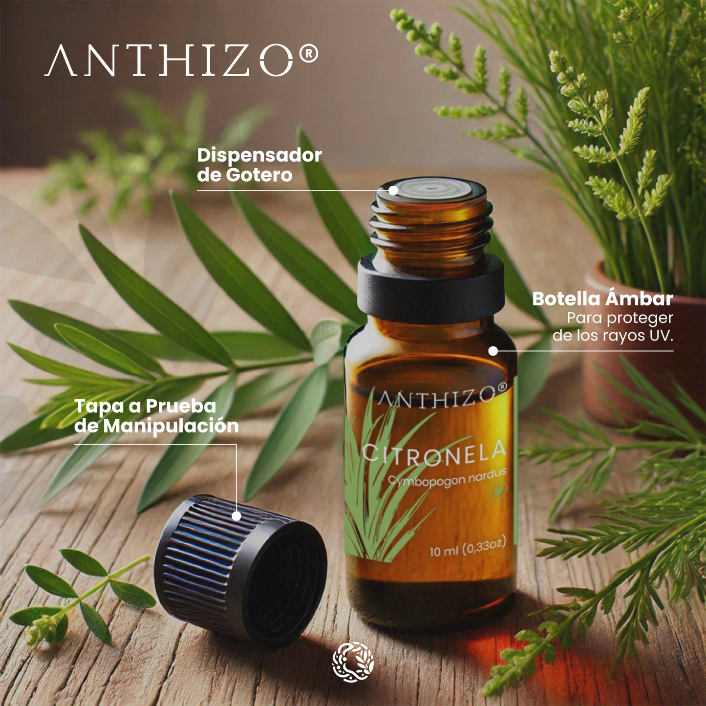 Aceite Esencial Citronela (Cymbopogon nardus), ORGÁNICO, Repelente de Mosquitos y Aromatizante, ANTHIZO 10ml