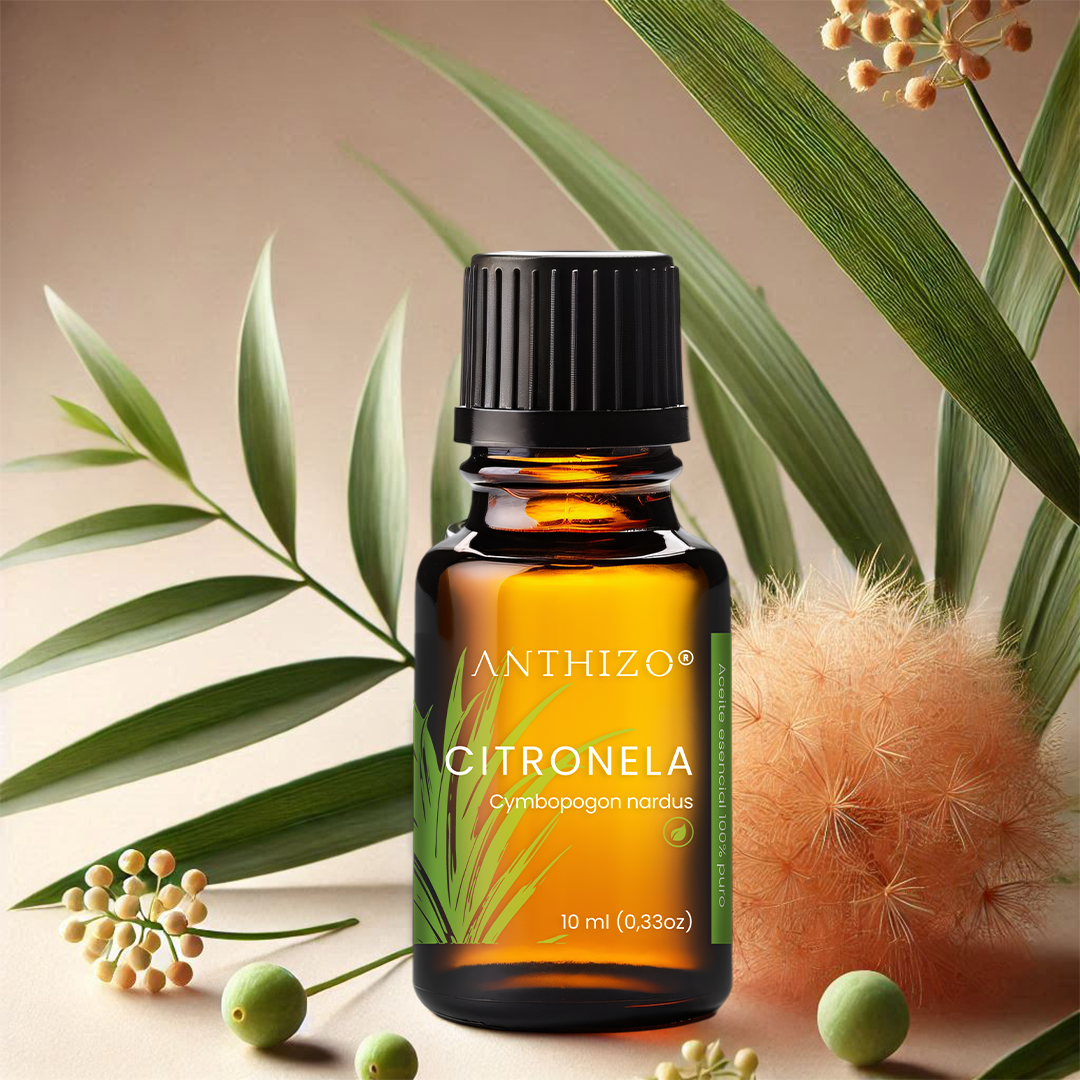 Aceite Esencial Citronela (Cymbopogon nardus), ORGÁNICO, Repelente de Mosquitos y Aromatizante, ANTHIZO 10ml